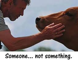 animals are friends